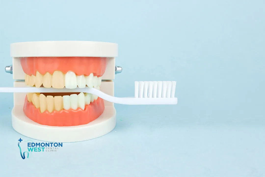 The Importance of Oral Health Education for Families